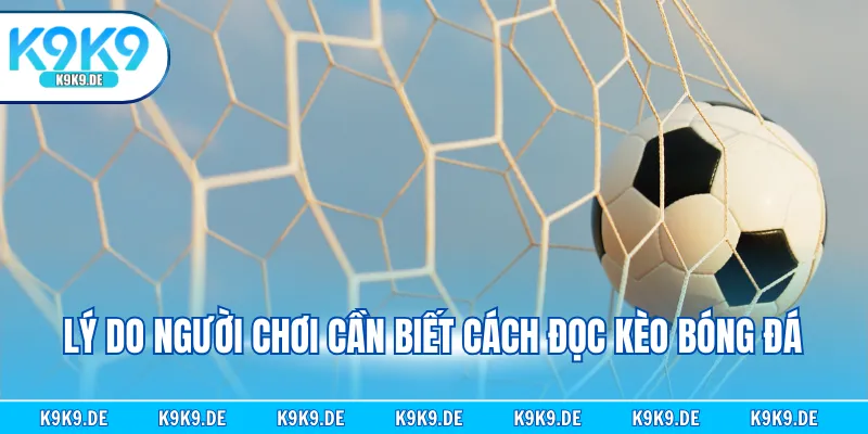 Lý do người chơi cần biết cách đọc kèo bóng đá